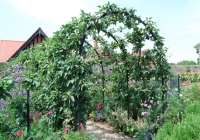 Flower and Vegetable Gardens - photo 1 Flower and Vegetable Gardens - photo 1